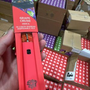 Bishop Boyz 1g Disposable